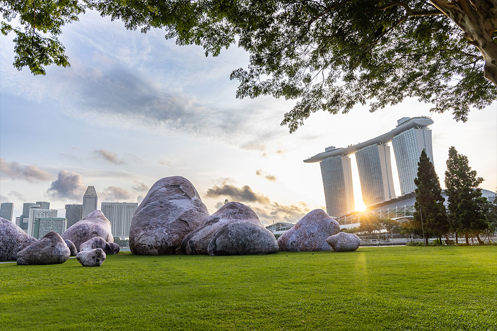 ENESS Iwagumi Airscape I light Festival Singapore